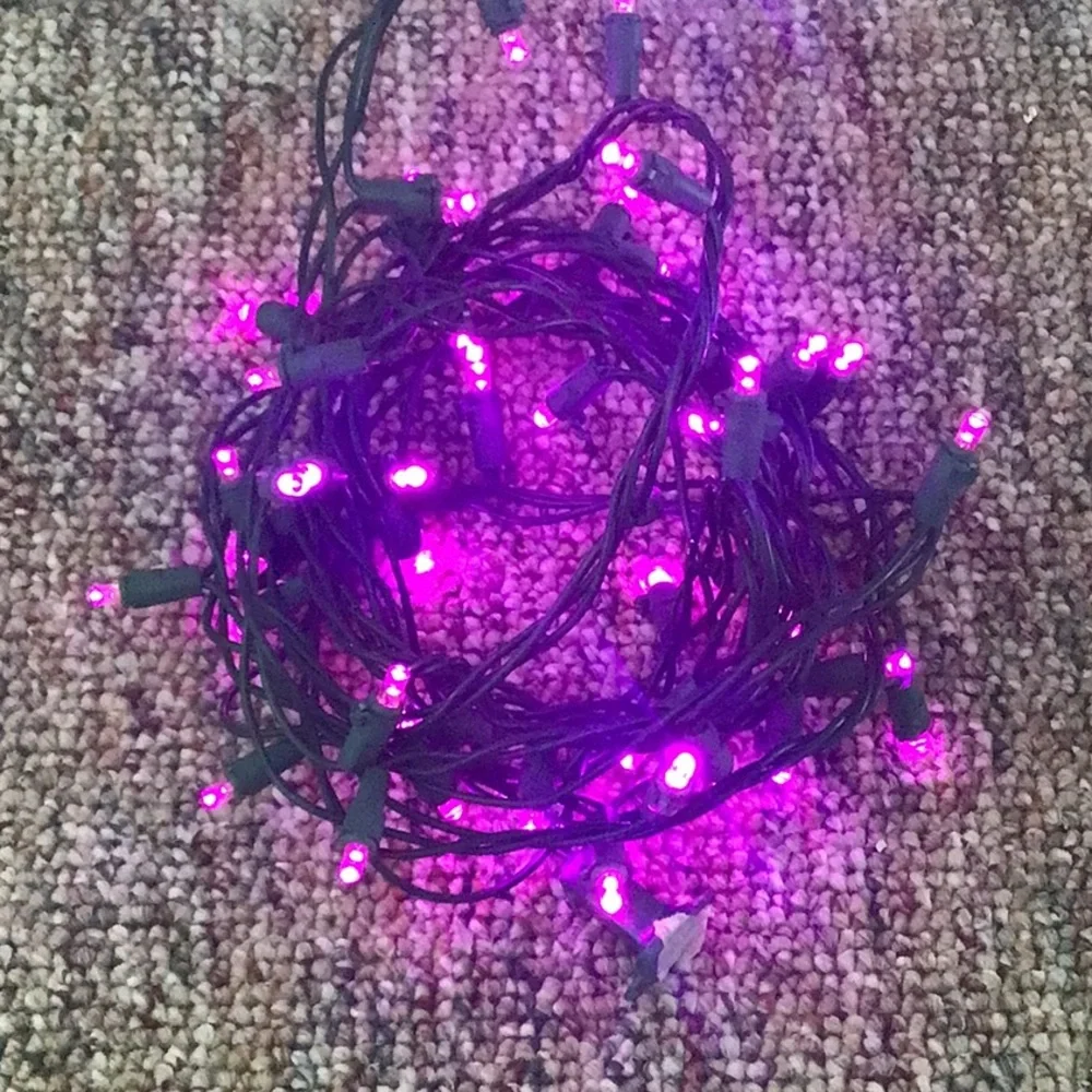 Bright Purple pink light strand 1 left!!!